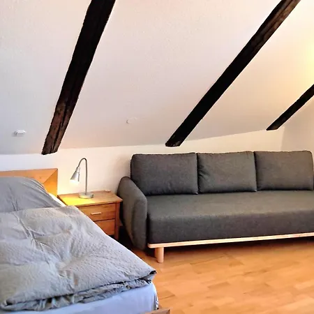 Brauner Hirsch Celle