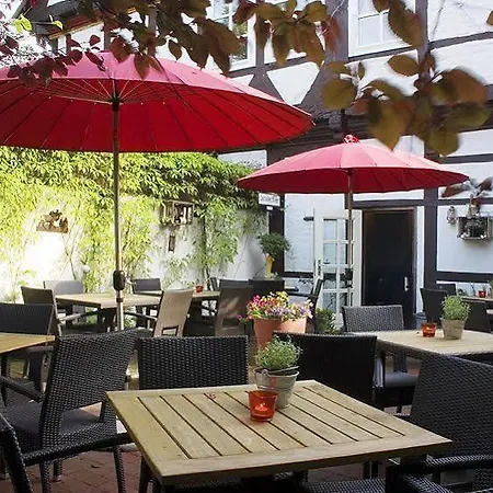 Brauner Hirsch Celle