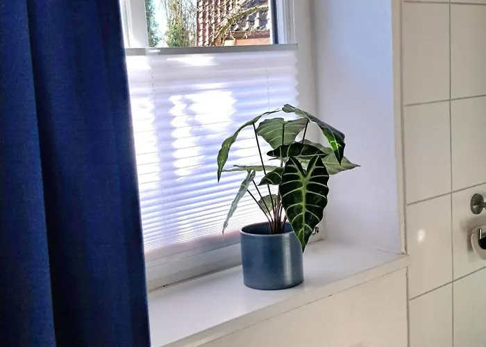 Brauner Hirsch Apartment Celle