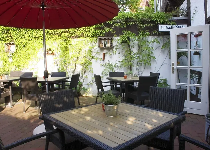 Brauner Hirsch * Celle